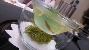 thumb_IMG_8049_1024